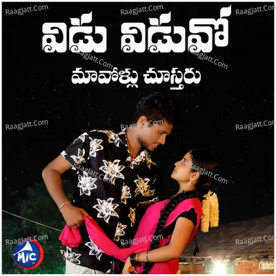 Vidu Viduvo Maavollu Chustharu Cover