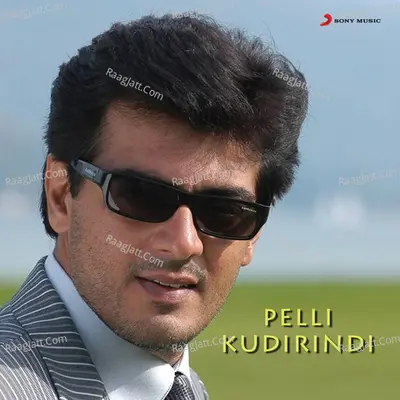 Pelli Kudirindi (Original Motion Picture Soundtrack) - ramani bharadwaj