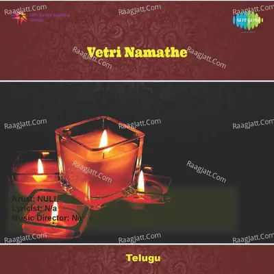 Vetri Namathe Poster