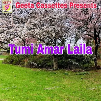 Tume Amar Laila