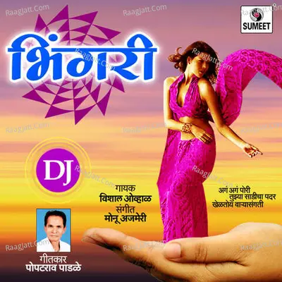 Bhingri - Vishal Ovahal