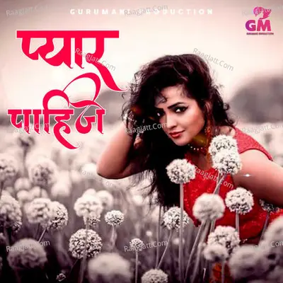 Pyaar Pahije Cover