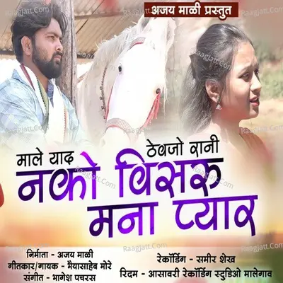 Male Yad Thevjo Rani Nako Visaru Mana Pyar Cover