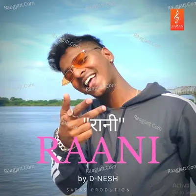 D-nesh Image