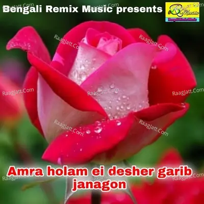 Amra Holam Ei Desher Garib Janagon Poster