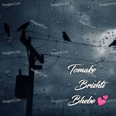 TOMAKE BRISHTI BHEBE Poster