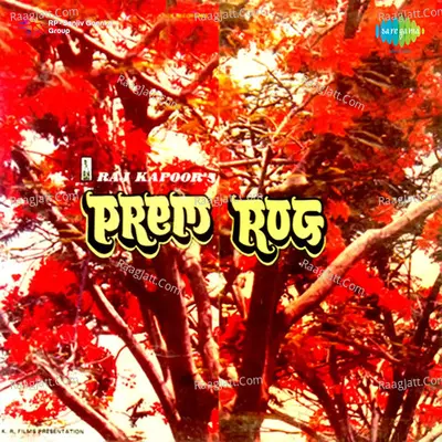 Prem Rog Poster