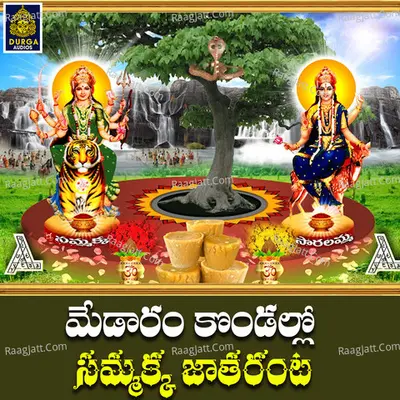 Medaram Kondallo Sammakka Jatharanta.wav