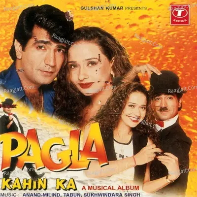 Pagla Kahin Ka Poster