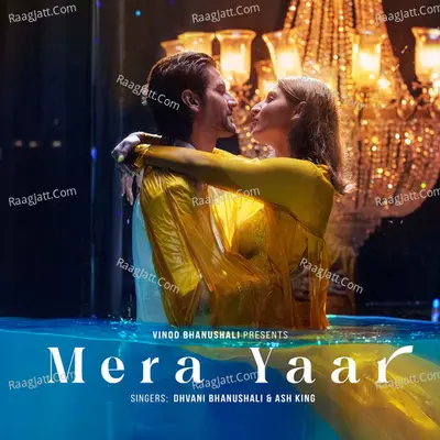 Mera Yaar Cover