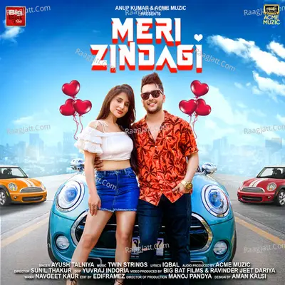 Meri Zindagi Cover