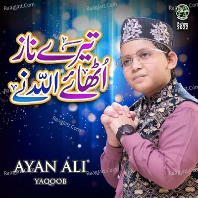 Tere Naaz Uthaye Allah Ne Cover