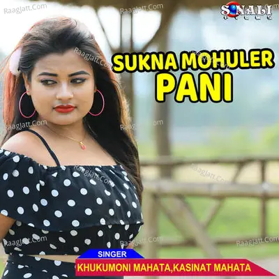 Sukna Mohuler Pani Poster