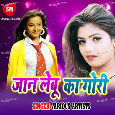 Jaan Lebu Ka Gori Poster