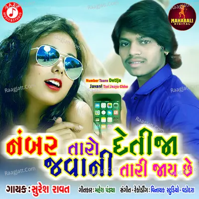 Number Taaro Detija Javani Tari Jaaye Chhe - Single