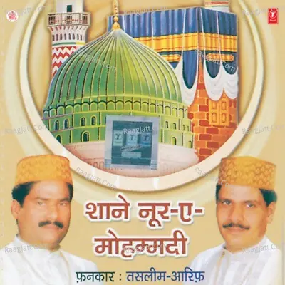 Shane Noor-E-Mohammadi Cover