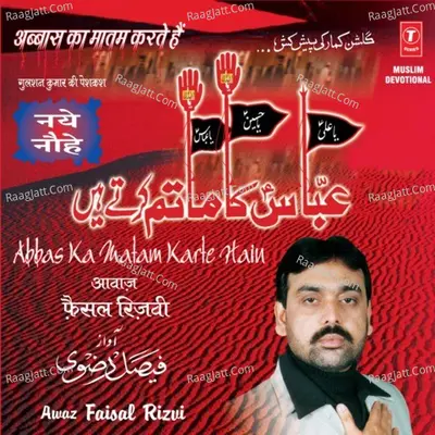 Abbas Ka Matam Karte Hain - Faisal Rizvi