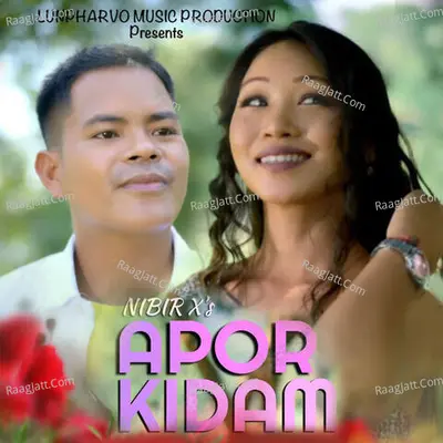 Nibir X