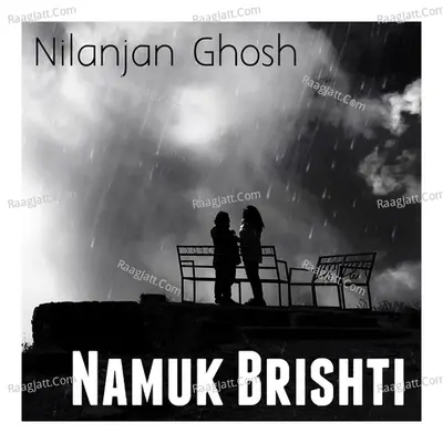 Namuk Brishti Cover