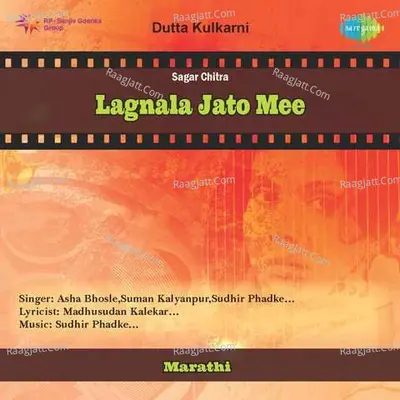 Lagnala Jato Mee Cover