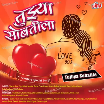 Tujhya Sobatila Poster