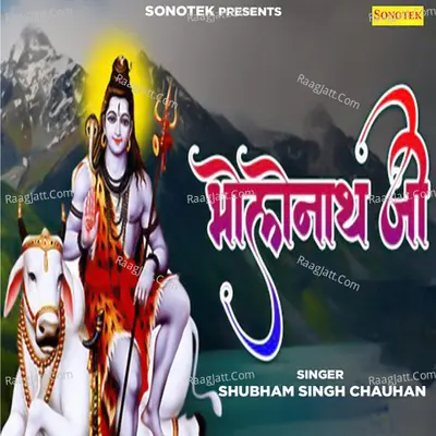 Shubham Singh Chauhan