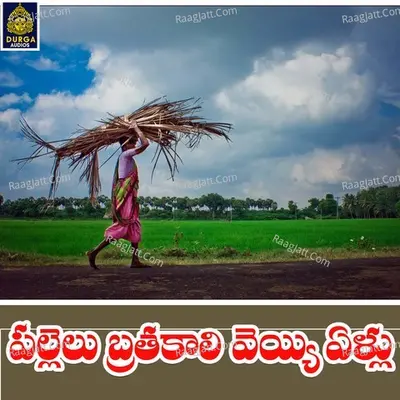 Pallelu Brathakali Veyyi yellu