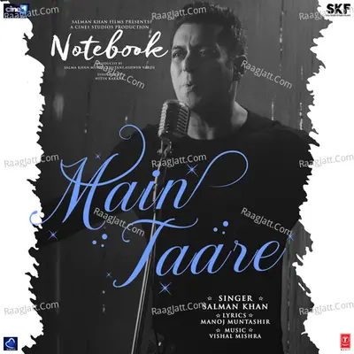 Main Taare (From "Notebook") Cover