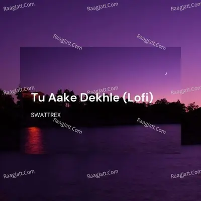 Tu Aake Dekhle (Lofi) Cover