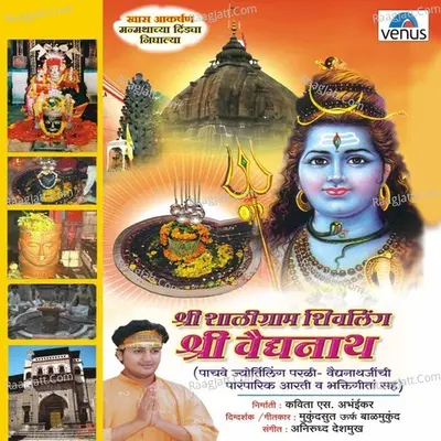 Shaligram Shivling Shri Vaidyanath Poster