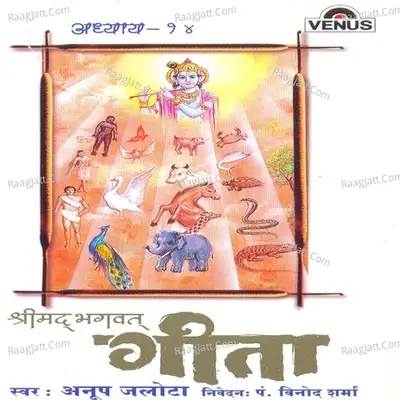 Shreemad Bhagwat Geeta- Vol- 14 - Anup Jalota