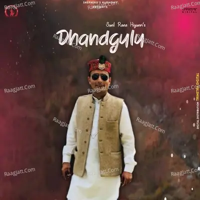 Dhandgulu Poster