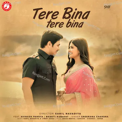 Tere Bina Tere Bina Cover