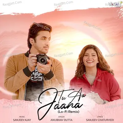 Tu Aa Jaana - Male Version (Lo-Fi Remix)