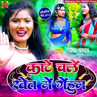 Kaate Chale Khet Me Gehum Cover