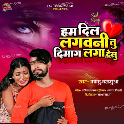 Hum Dil Lagwani Tu Dimaag Laga Delu Cover