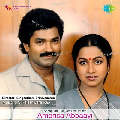 America Abbaayi Poster
