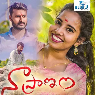 Naa Pranam Cover
