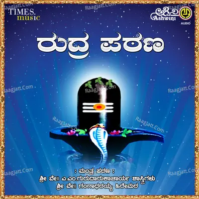 Rudrapatana Poster