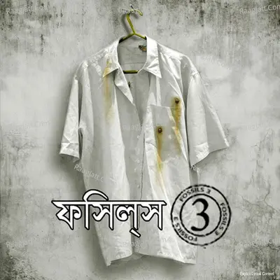 Fossils, Vol. 3 Poster