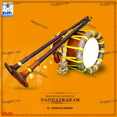 Traditional Krithis on Nadhaswaram - Sriram Pallaniswamy