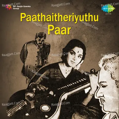 Paathaitheriyuthu Paar - Tiruchi Loganathan