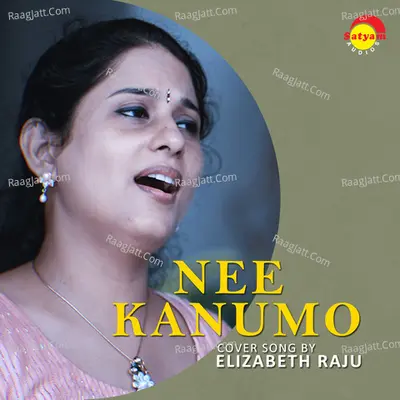 Nee Kanumo (Recreated Version) Cover
