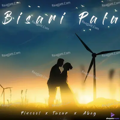 Bisari Palu Cover