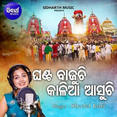 Sheetal Kabi Image