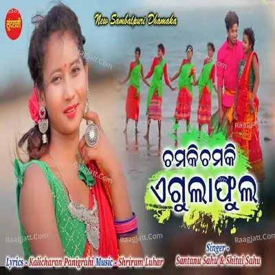 Chamki Chamki A Gulaphula