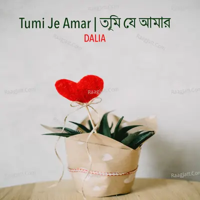 Tumi Je Amar Cover