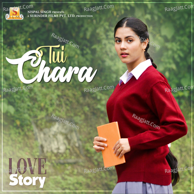 Love Story Poster