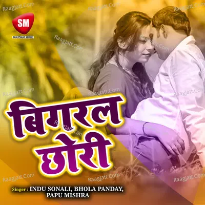 Bigral Chhauri Poster