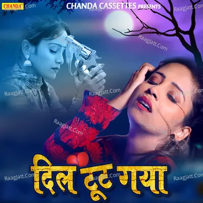 Dil Toot Gaya - Amrita Dixit